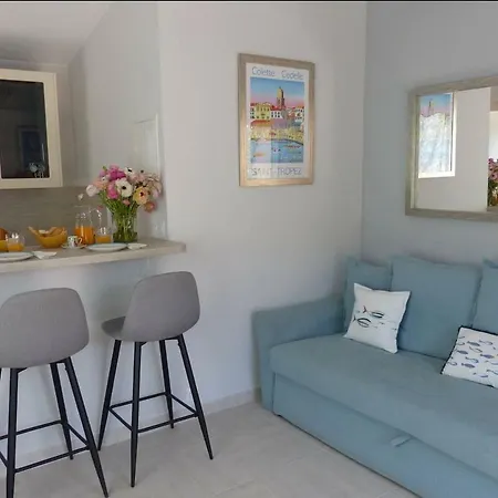 Charmante Petite Maison A L'entree De Tropez Saint-Tropez